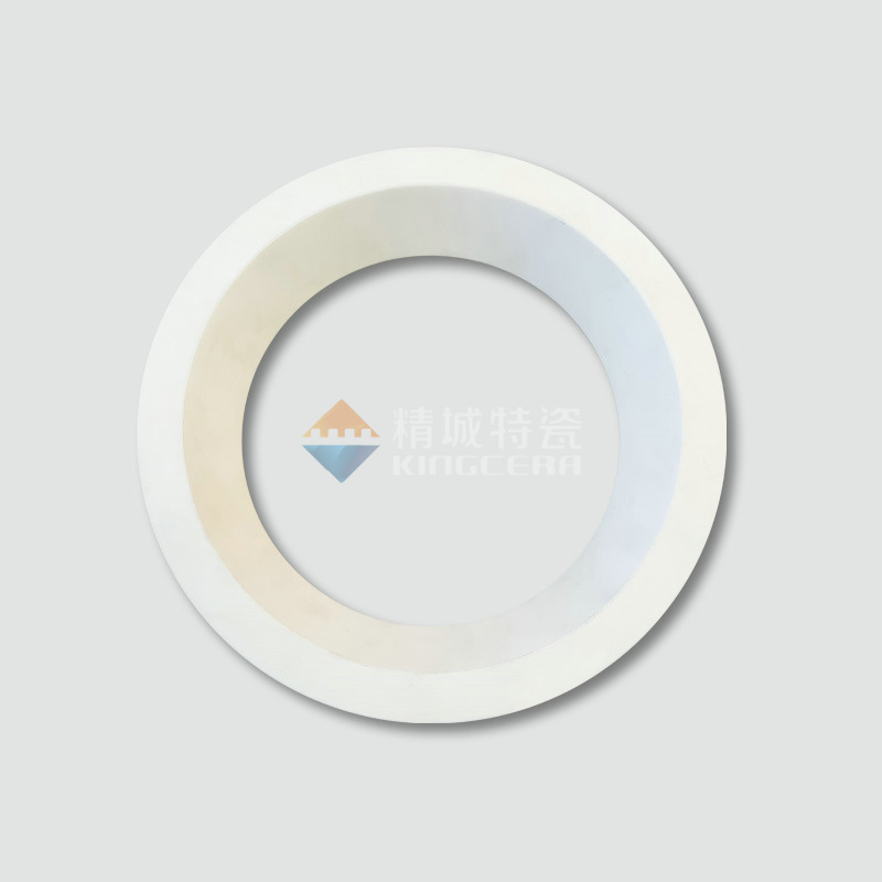 閥門陶瓷密封環